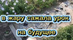 20. 08. 26. #mukbangtatyanaeats #клубника саженцы 🍓🍓 урок на будущее ........