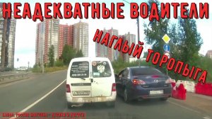 Неадекватные водители и хамы на дороге #882! Подборка на видеорегистратор!