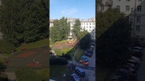 Катаракта. Как сделать операцию поОМС