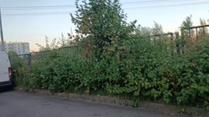 Прогулка
