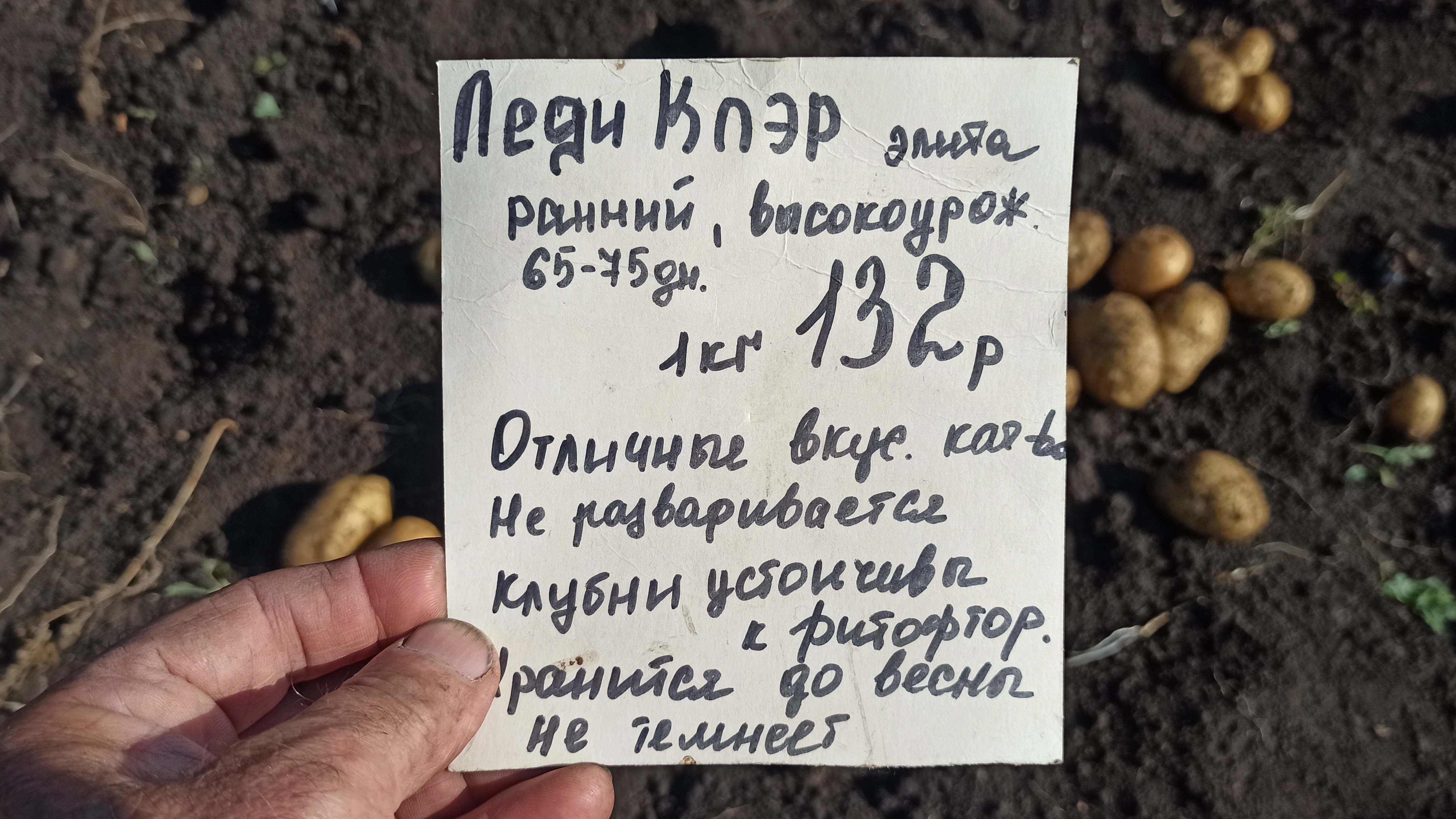 От элиты я ожидал большего