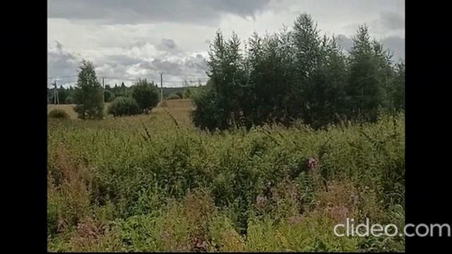 ЗУ :708 д. Мостки
