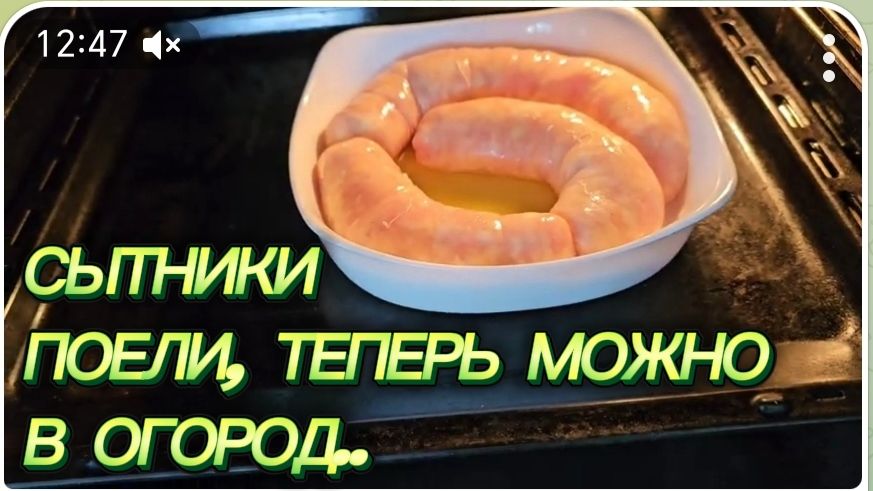 САМВЕЛ АДАМЯН, СЫТНИКИ, ПОЕЛИ, ТЕПЕРЬ МОЖНО В ОГОРОД..