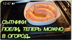 САМВЕЛ АДАМЯН, СЫТНИКИ, ПОЕЛИ, ТЕПЕРЬ МОЖНО В ОГОРОД..
