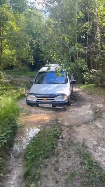 Нива пошла пошла грязь