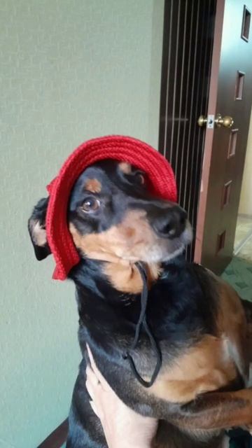 Маруся в  обновке 👒.