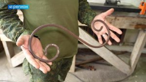 РЕАЛИЗАЦИЯ ПРОГРАММЫ «СОЦИАЛЬНЫЙ КОНТРАКТ» ПРОДОЛЖАЕТСЯ В УСТЬ-КАМЧАТСКОМ ОКРУГЕ • НОВОСТИ КАМЧАТКИ