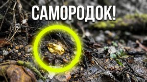 Нашел Золотой Самородок!