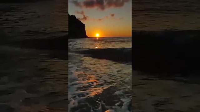 🎼🎶🎵🎹🎧