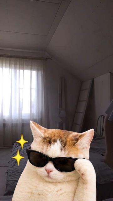 почемуууууууууууууу?