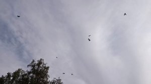 20.08.26 сегодня как то так