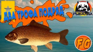 Два трофея подряд. Трофейный карп на озере Янтарное. Русская рыбалка 4. Russian Fishing 4