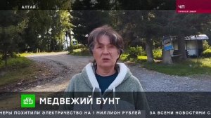 «ЧП«_ 20 августа 2026 года _ «Чрезвычайное происшествие» на НТВ