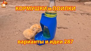 Кормушки и поилки для кур своими руками (287) 🪚✂️ Пошаговая инструкция как сделать 🐔 🐓❣️