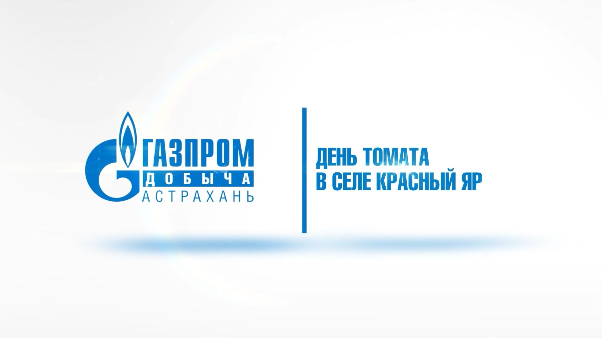 День томата в селе Красный Яр