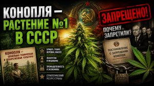 КОНОПЛЯ — Растение №1 в СССР.  Почему запретили? | Документальный Фильм