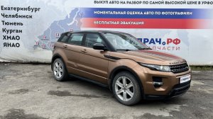 Обзор перед разбором Range Rover Evoque