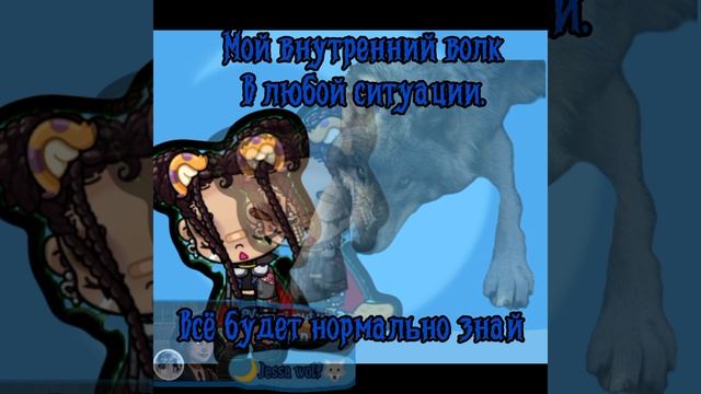 ៚Мой внутренний волк, в любой ситуации//ИДЕЯ МОЯ//🫶🏻🐺🌙↭︎