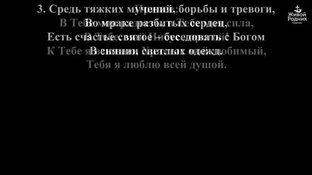В тебе моя радость