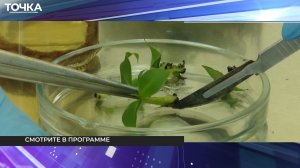 Выпуск от 19 августа 2026 года // Мичуринское телевидение