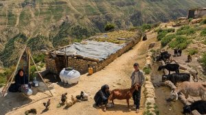 Аутентичная кочевая жизнь в Иране | Быт в горах и дойка коз 🏔️🐐