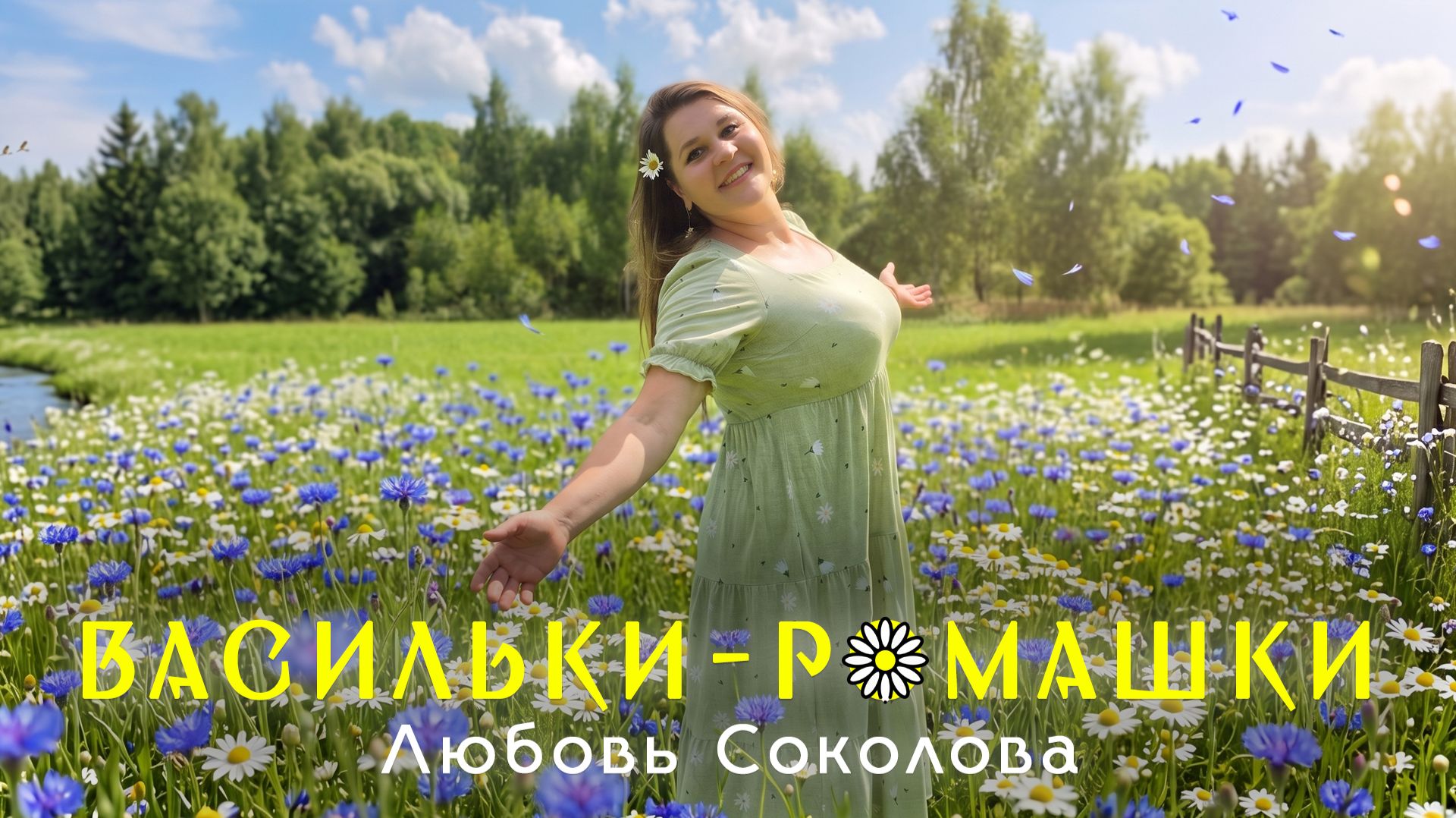 Клипы