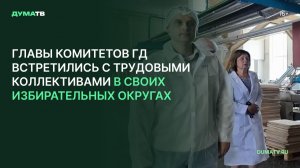 Главы комитетов ГД встретились с трудовыми коллективами в своих избирательных округах