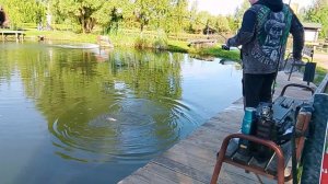 Фореливая рыбалка, ловля форели на 1-м Вип водоёме РК «Фишка Петряиха»