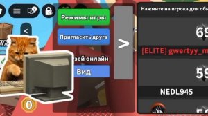 играю в ММ2 с vibe_13 и миланой