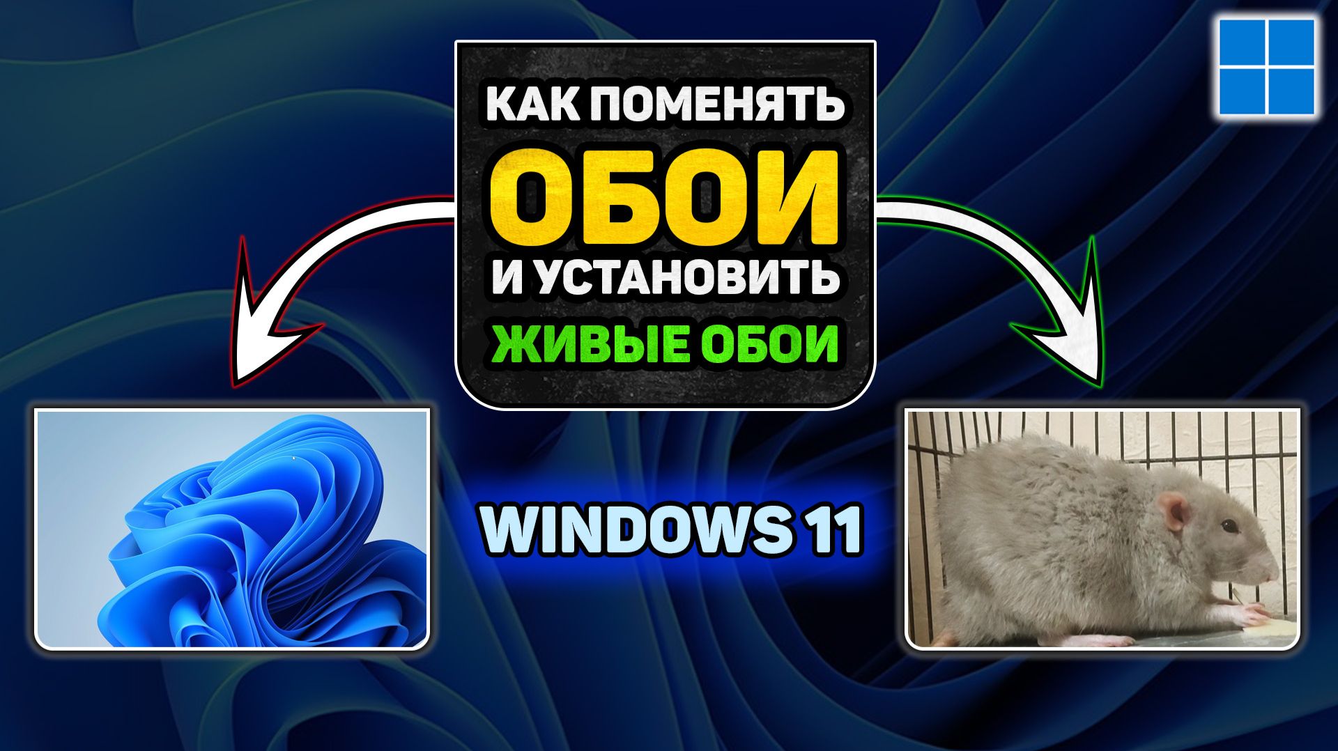 Создаём уникальный дизайн рабочего стола в Windows 11: обои, слайд‑шоу и дополнительные возможности