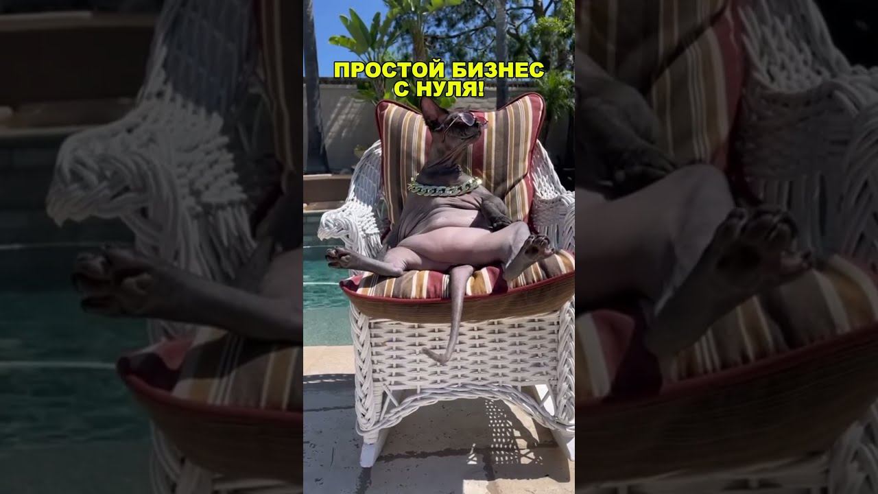 ОЧЕНЬ ПРОСТОЙ БИЗНЕС С НУЛЯ! Бизнес идеи! Бизнес 2026!