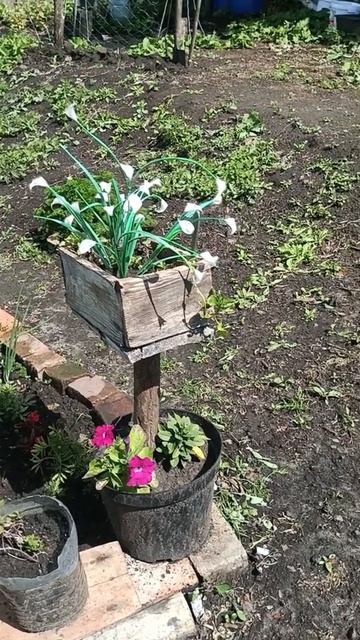 2026 весна 🌱 мой огород