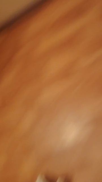 4520.mp4
