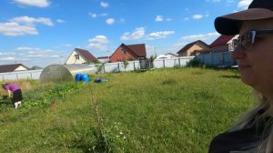 Дача в августе. Собираем огурцы и кабачки.