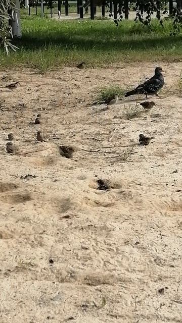 УТРО ОТЕЛЬЕРА. СПА ДЛЯ ВОРОБЬЕВ