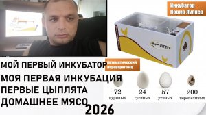 моя первая инкубация в инкубаторе НОРМА ЛУППЕР 2026