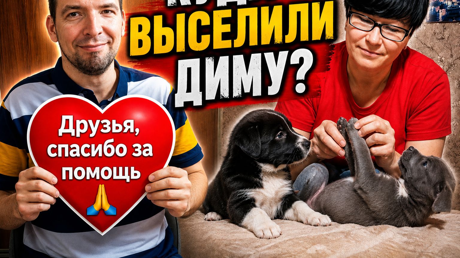 Куда ВЫСЕЛИЛИ Диму? / Благодарим ДРУЗЬЯ ❤️ / Как прошла ночь?