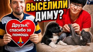 Куда ВЫСЕЛИЛИ Диму? / Благодарим ДРУЗЬЯ ❤️ / Как прошла ночь?