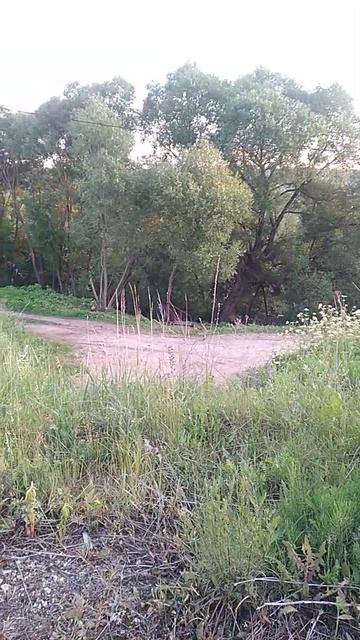 ЛЕПОТА🌳🌾🌞!!!