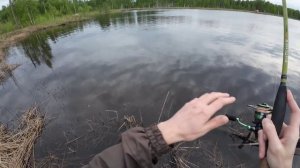 Рыбалка на Спининг, конец весны начало лета.