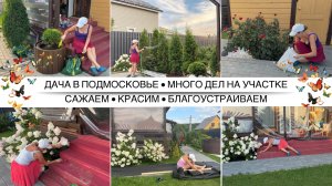 СОЗДАЁМ КРАСОТУ НА УЧАСТКЕ 🤩 Дача в Подмосковье / Кашпо из старых покрышек / Обновляю ступени