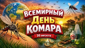 Сотрудник Музея Природы и Человека развеял мифы о комарах и рассказал, как от них защититься