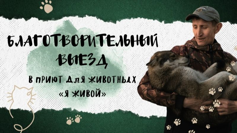 БЛАГОТВОРИТЕЛЬНЫЙ ВЫЕЗД В ПРИЮТ ДЛЯ ЖИВОТНЫХ «Я ЖИВОЙ»