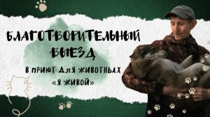 БЛАГОТВОРИТЕЛЬНЫЙ ВЫЕЗД В ПРИЮТ ДЛЯ ЖИВОТНЫХ «Я ЖИВОЙ»
