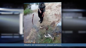 19.08.2026 Инспекторы рыбоохраны за неделю зафиксировали 74 нарушения на территории области