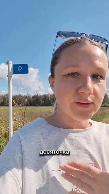 Шагаю. День 8.