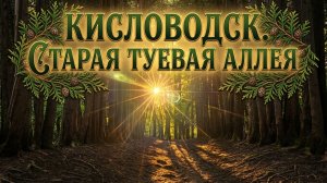 КИСЛОВОДСК. СТАРАЯ ТУЕВАЯ АЛЛЕЯ