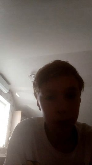 Трансляция Кости