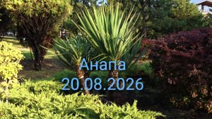 Анапа 20.08.2026