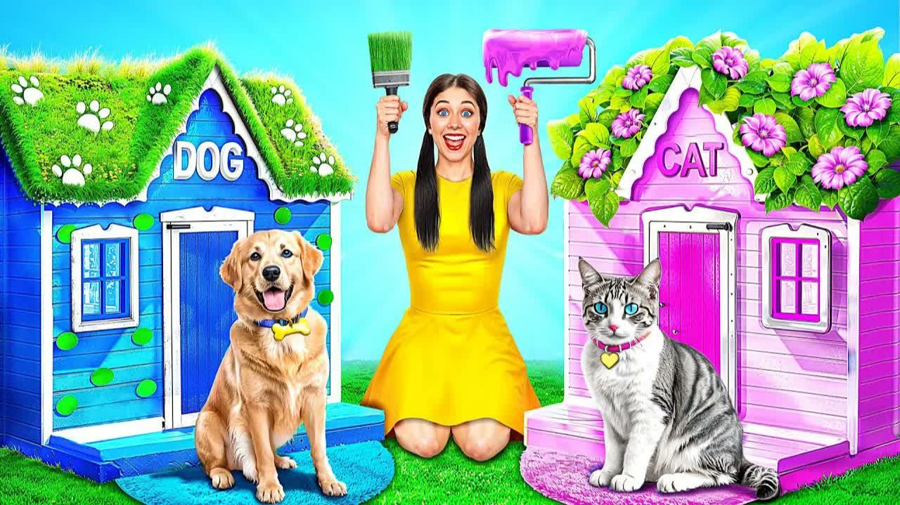 Строим Домики для Животных C Multi DO Smile